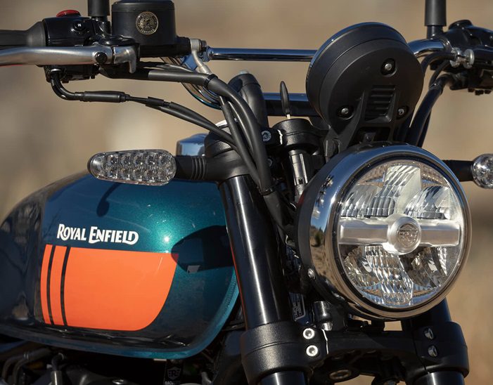 Bear 650